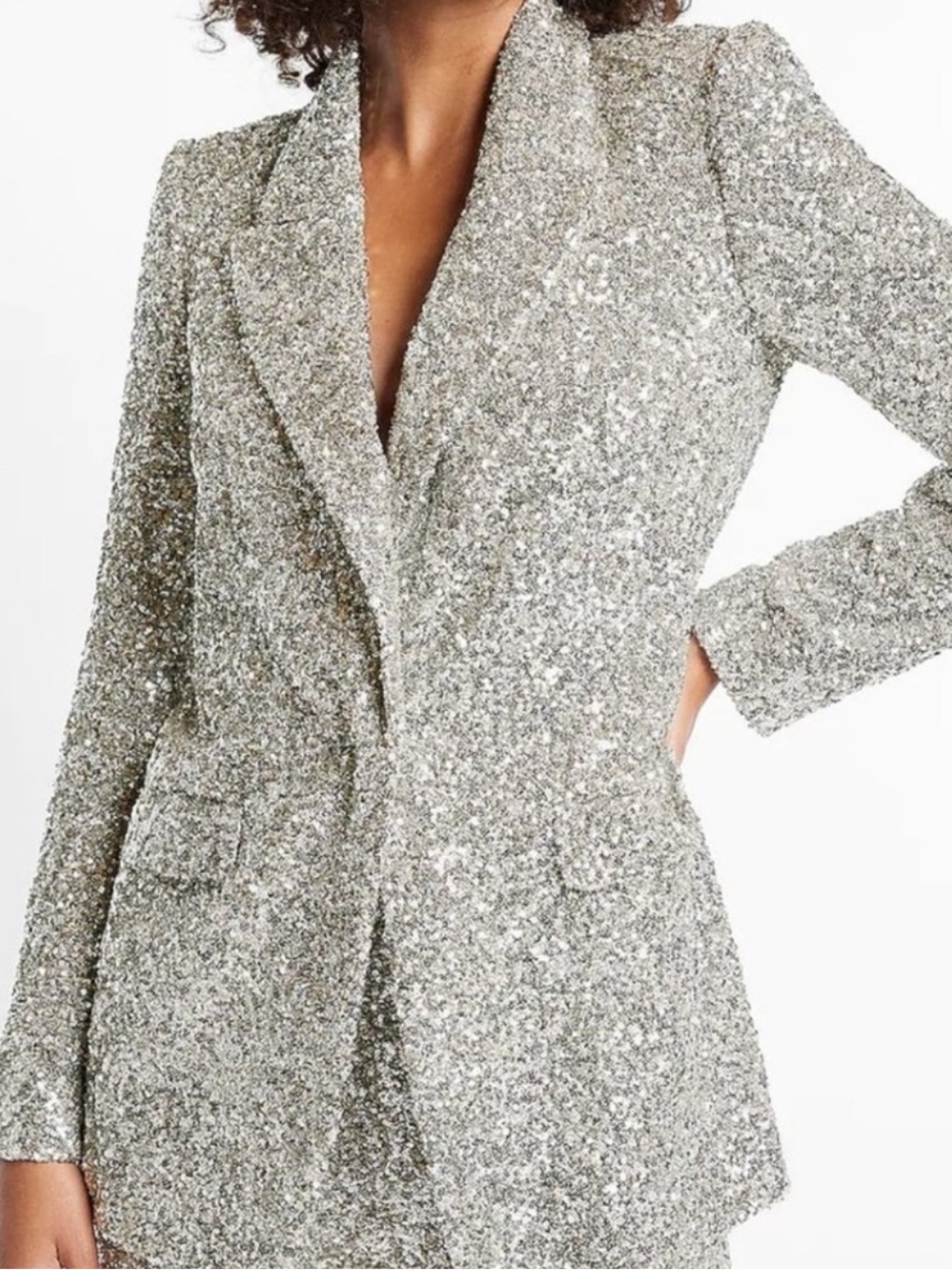 Express Silver Sequin Tailored Blazer